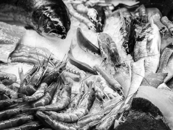 Φρέσκα Ψάρια Και Θαλασσινά Στην Αγορά Τροφίμων Της Βαρκελώνης — Φωτογραφία Αρχείου