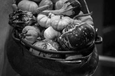 Taze mini balkabakları, yakın görüş.