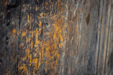 Firenze 'nin tarihi sokaklarında eski kapılar kapanıyor.