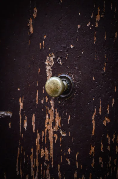 Vieilles Portes Vue Rapprochée Dans Les Rues Historiques Florence — Photo