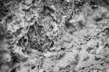 Tuğlalar ve taş duvarlar tasarlandı - Trieste 'nin tarihi binaları içerisine yakın görüş