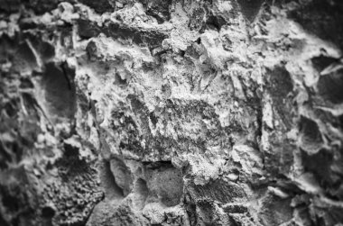 Tuğlalar ve taş duvarlar tasarlandı - Trieste 'nin tarihi binaları içerisine yakın görüş