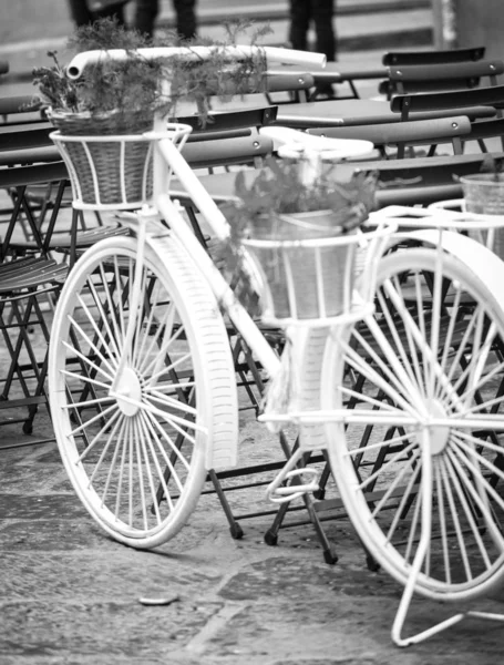 Fancy Decoration Bike Streets Firenze — Stock Photo, Image