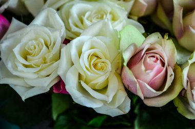 Doğal gülleri karıştır, yakın görünüm 