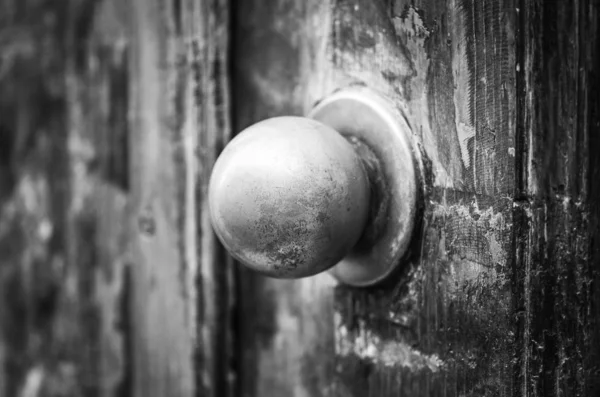 Ancient Doors Close View Historical Streets Trieste — Stock Photo, Image