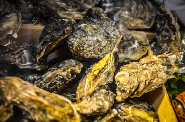 Taze balık ve deniz ürünleri yakın görünüm