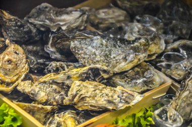 Taze balık ve deniz ürünleri yakın görünüm