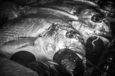 Taze balık ve deniz ürünleri yakın görünüm