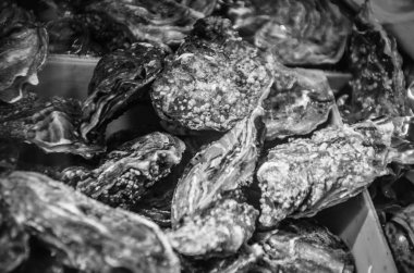 Taze balık ve deniz ürünleri yakın görünüm