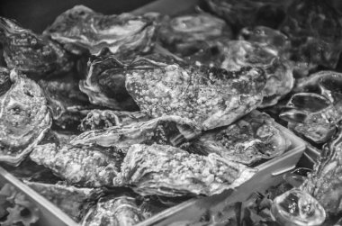 Taze balık ve deniz ürünleri yakın görünüm