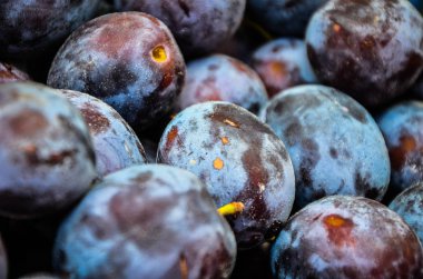 taze kurutulmuş meyveler yakın görünüm