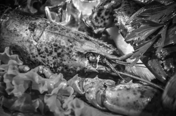 Φρέσκο Ψάρι Και Θαλασσινά Από Κοντά — Φωτογραφία Αρχείου
