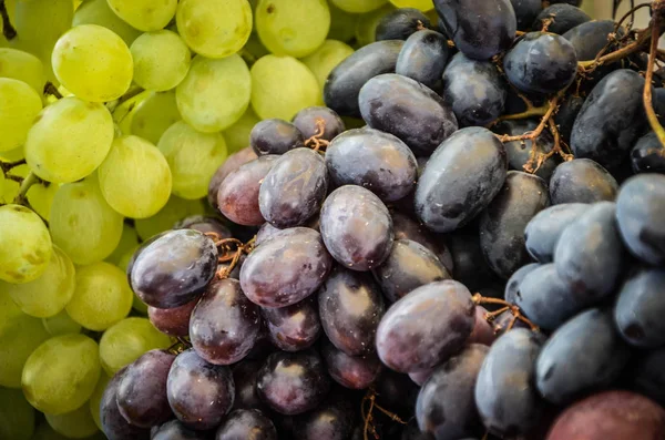 Fresh Dried Fruits Close View — Stock Photo, Image