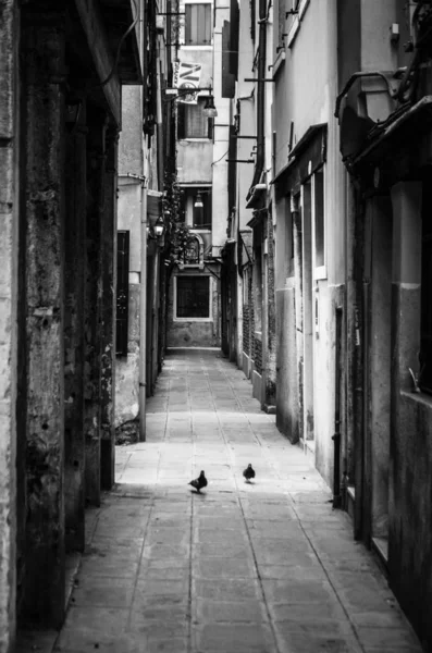 ヴェネツィア通りが近くに見えます — ストック写真