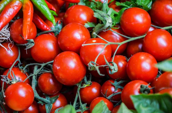 Färska Grönsaker Närbild Den Lokala Marknaden Italien — Stockfoto