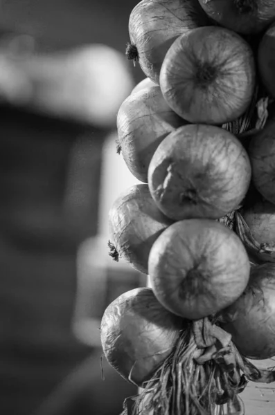 Dried Onion Close View — Stock Photo, Image