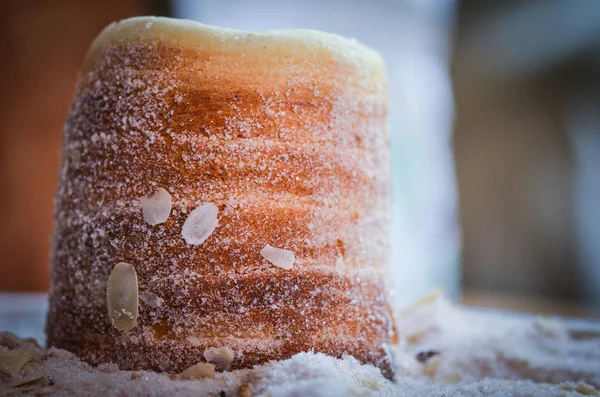 Παραδοσιακές Τσέχικες Σπεσιαλιτέ Τσέχικη Απόλαυση Ρολό Ζύμης Ξηρούς Καρπούς Ζάχαρη — Φωτογραφία Αρχείου