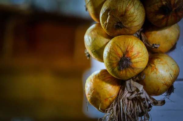 Sušená Cibule Zavřít Pohled — Stock fotografie