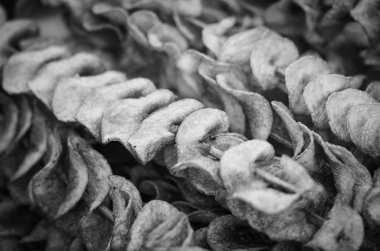 Czech spesiyalitesi, kızarmış patates. 