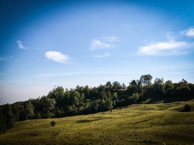 tepeler ve orman panoramik görünümü