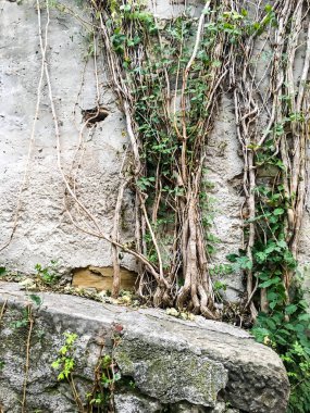 tuğlalar & taş duvarı kapat görünümü