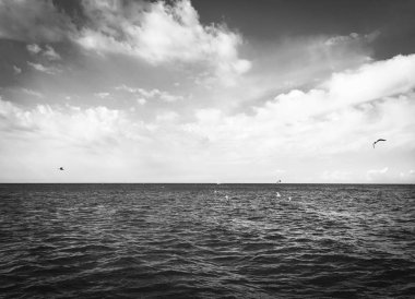 Sloven deniz kenarının panoramik görüntüsü