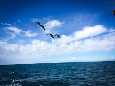 Sloven deniz kenarının panoramik görüntüsü
