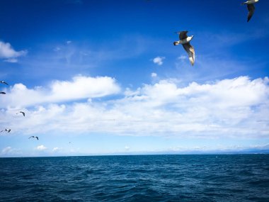 Sloven deniz kenarının panoramik görüntüsü