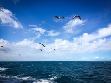 Sloven deniz kenarının panoramik görüntüsü