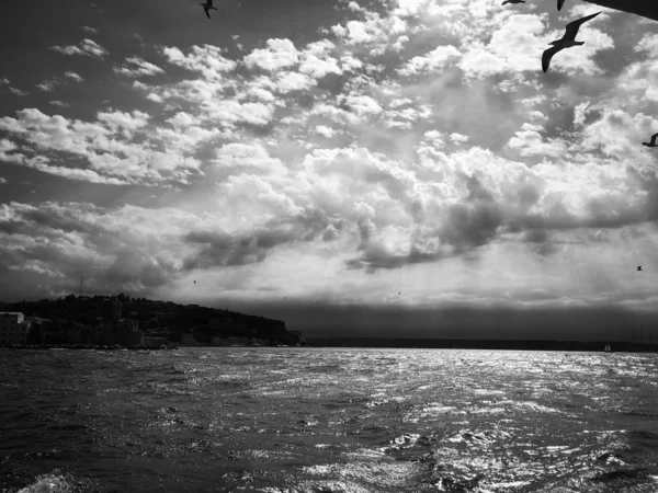 Vue Panoramique Sur Bord Mer Slovène — Photo