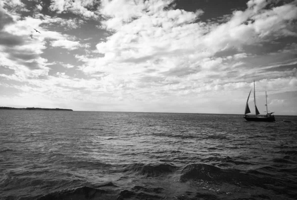 Vue Panoramique Sur Bord Mer Slovène — Photo