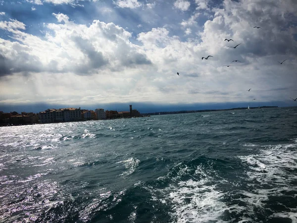 Vista Panoramica Sul Mare Sloveno — Foto Stock