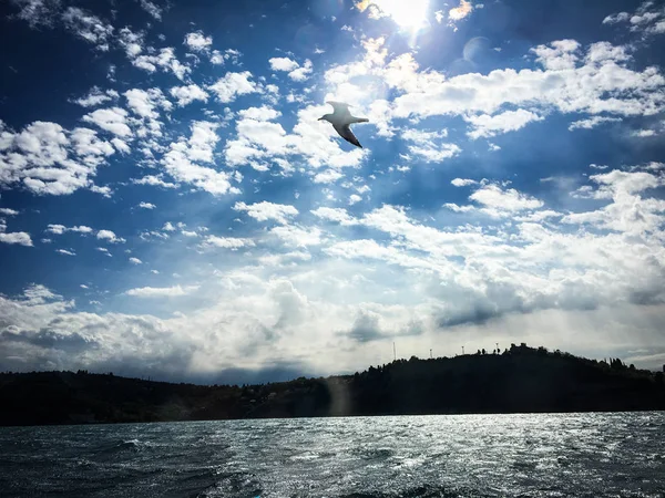 Pemandangan Panorama Dari Tepi Laut Slovenian — Stok Foto