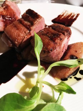 Lezzetli ızgara ördek göğsü ve taze sebze ve sos.