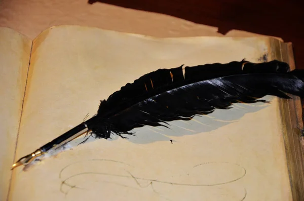 Ancient Writing Pen Black Feather — Stock Photo, Image