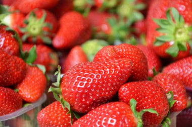 Taze meyveler, yakından bakın.