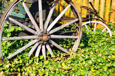 Eski tekerlek yakın görünümü