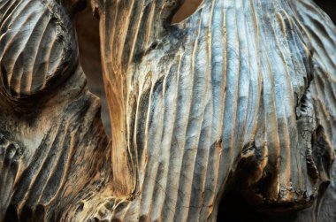 Eski ahşap yakın görünüm