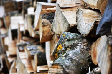 Eski ahşap yakın görünüm