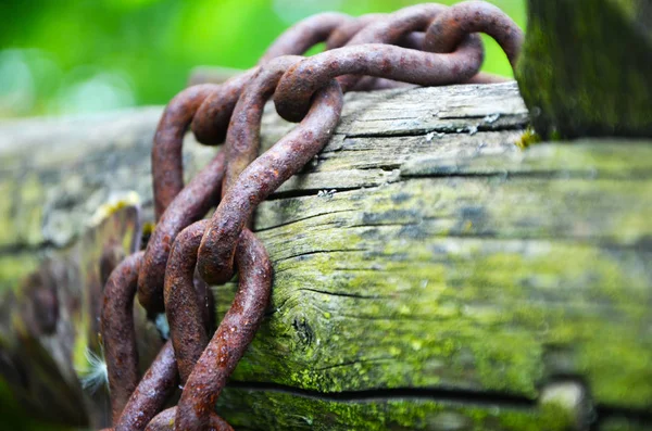 Old Designed Chain Close View — Stock Photo, Image