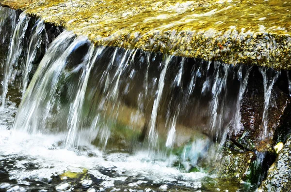 Природный Источник Воды Вблизи — стоковое фото