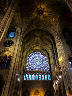 Paris Kilisesi yakın görüş - notre dame de Paris