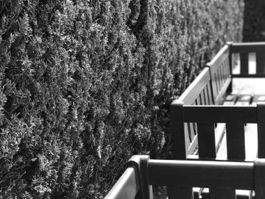 Prag sokaklarının manzarasını kapatın.