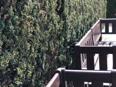 Prag sokaklarının manzarasını kapatın.