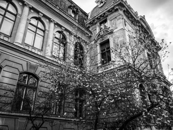 Pohled Zblízka České Město Karlovy Vary — Stock fotografie