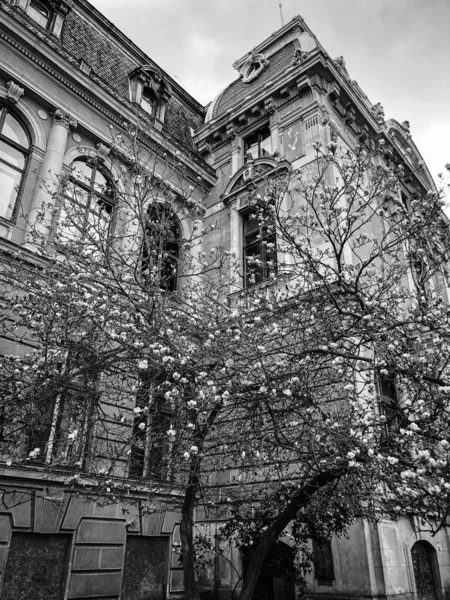 Pohled Zblízka České Město Karlovy Vary — Stock fotografie