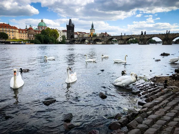 Vista Perto Rio Vltava — Fotografia de Stock