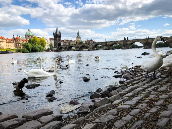 Vista Perto Rio Vltava — Fotografia de Stock