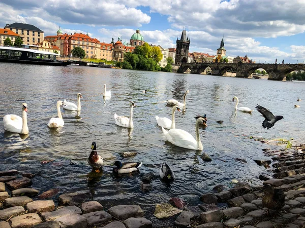 Zavřít Pohled Řeku Vltavu — Stock fotografie