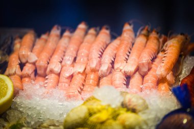 Taze karidesler görünümü kapatın